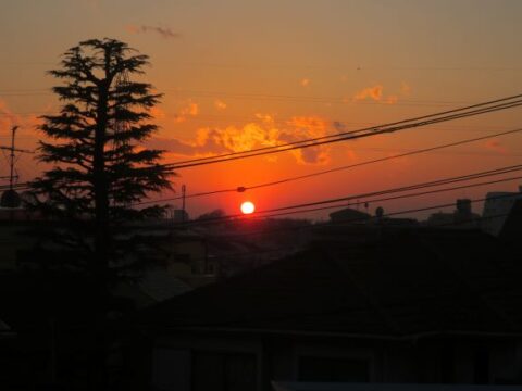 夕日がきれい、電線汚い③　