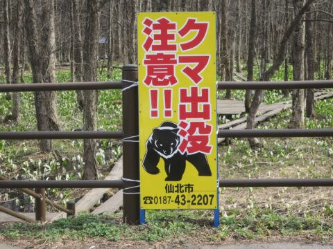熊