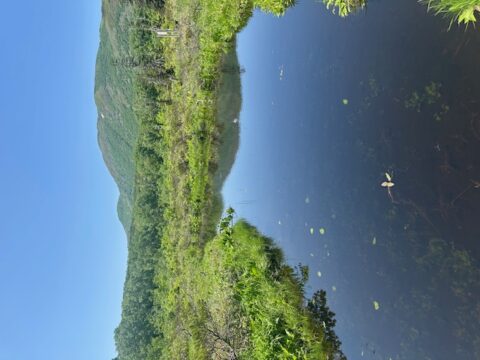 北海道11