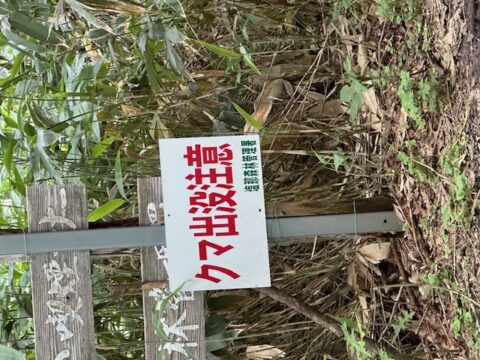 熊