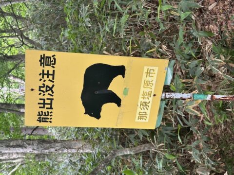 熊