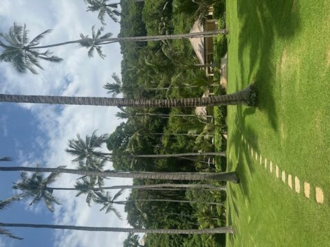 インドネシア62