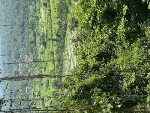 インドネシア64