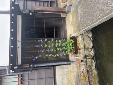 古川3