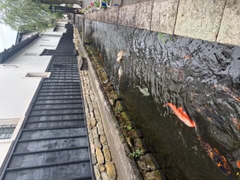 古川