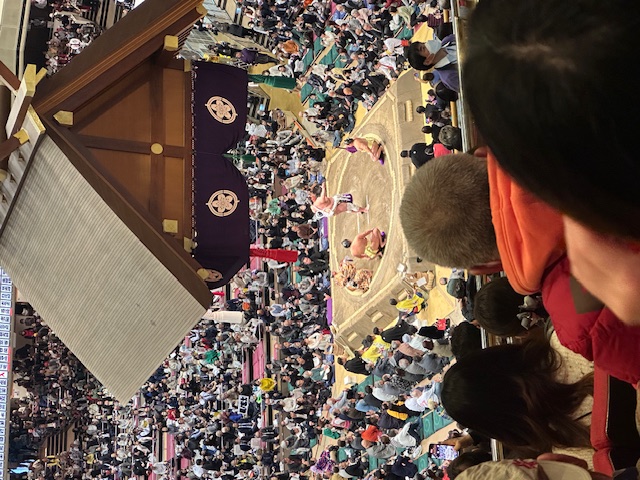 相撲１月２