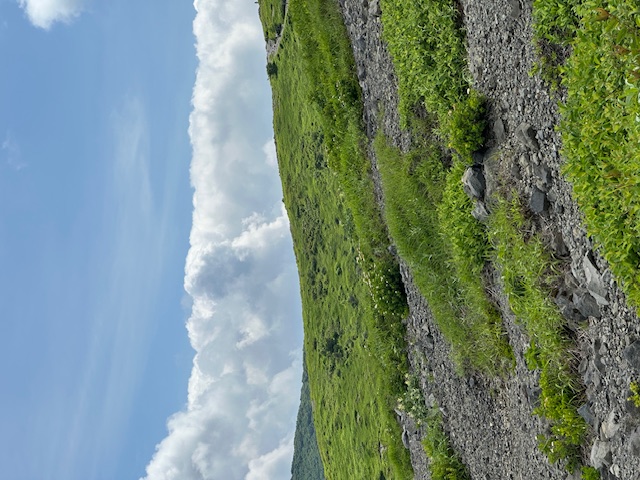那須１